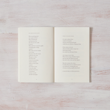 Load image into Gallery viewer, When The Bee Stings - book