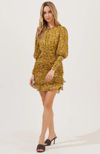 Load image into Gallery viewer, Claremore Dress