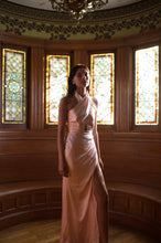 Load image into Gallery viewer, Begonia Dress